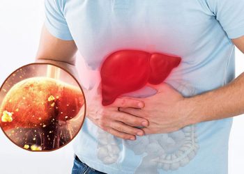 Giải Pháp Hạ Nhanh Men Gan, Thành Công Chỉ Sau Vài Tháng Thực Hiện