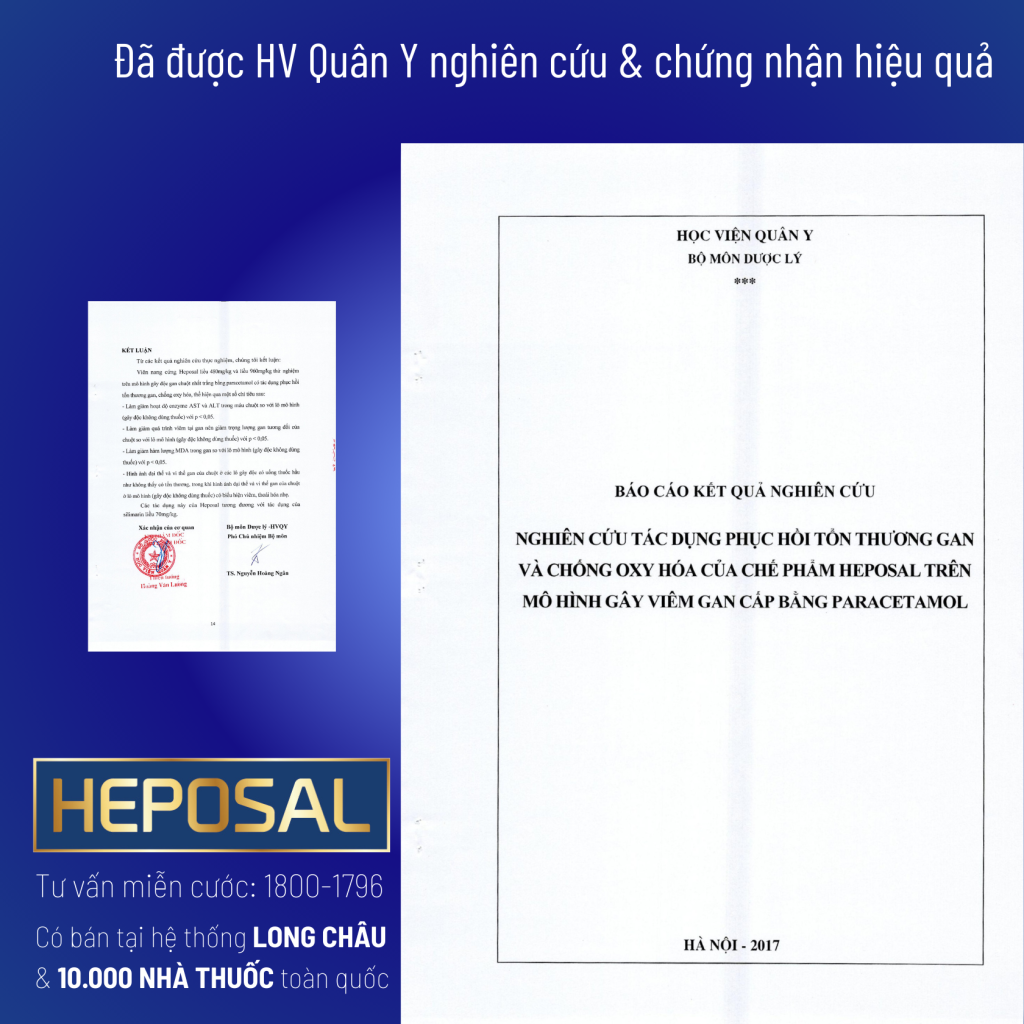 giấy tờ 5.1