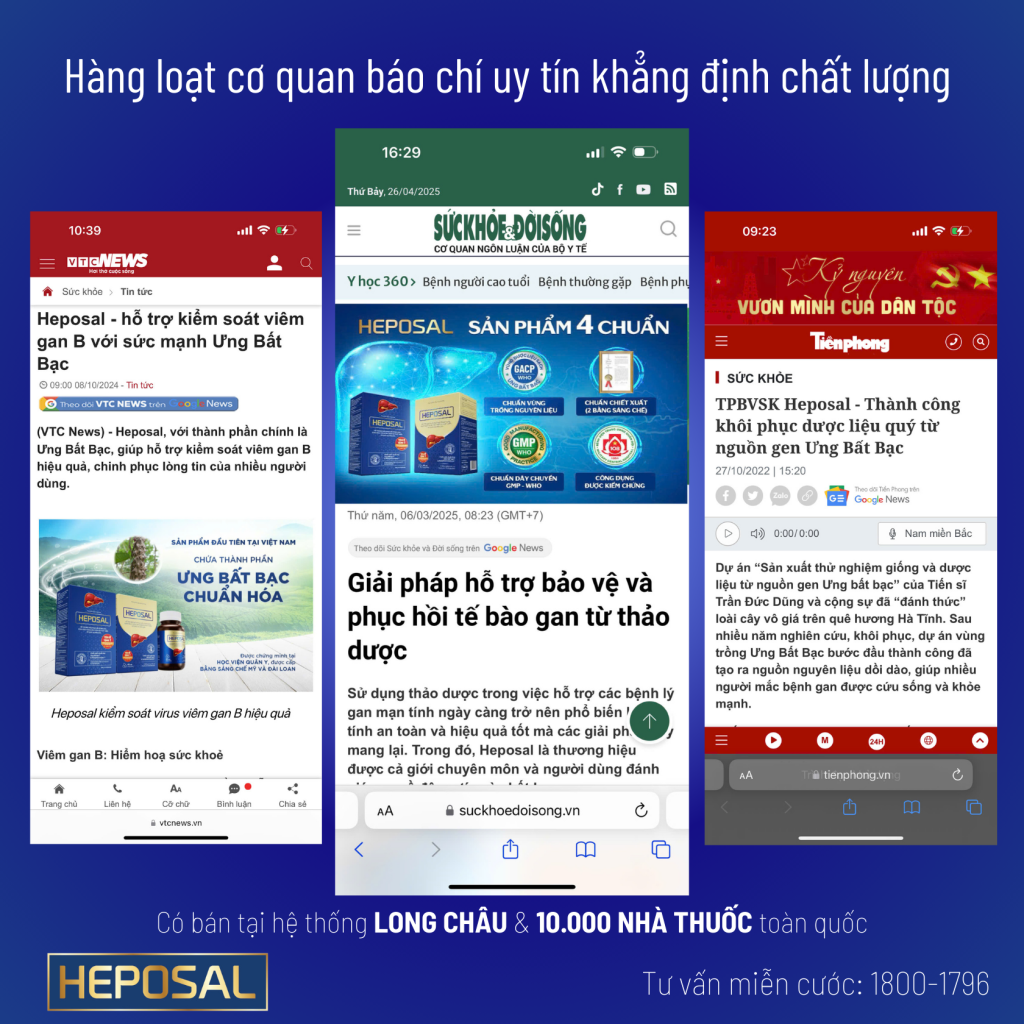 giấy tờ 6