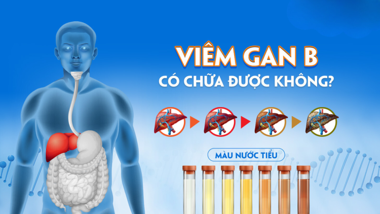 Viêm gan B mạn tính có chữa khỏi được không? Phác đồ mới nhất 2025