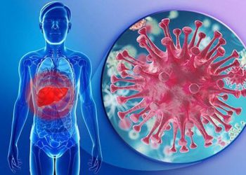 Bệnh viêm gan C – nguyên nhân, triệu chứng và hướng điều trị mới nhất hiện nay được nhiều chuyên gia ủng hộ